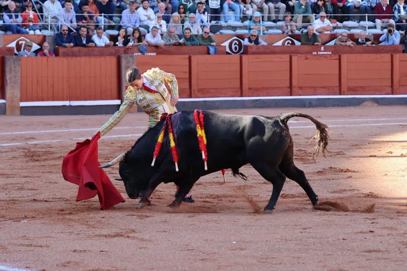 La novillera Raquel Martín ante un astado de Antonio de Palla en la feria de 2024