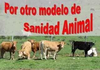 Jornada sobre sanidad animal en Vitigudino