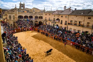 Carnaval de Ciudad Rodrigo | ICAL - Jose Vicente