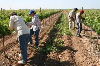 Mujeres en el campo | Europa Press