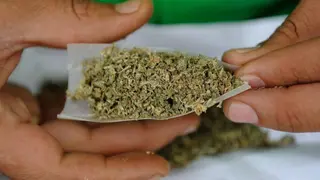 Cannabis