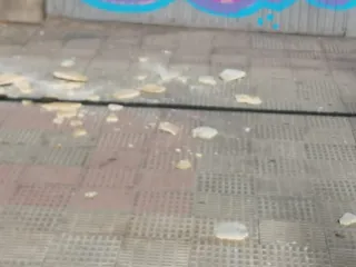 Desprendimiento de fachada en el Paseo de los Robles