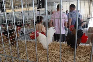 Inauguración de Salamaq 2021