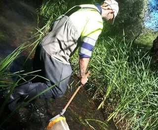 Más de 100 masas de agua de ríos, arroyos y regatos de la provincia están en riesgo de incumplir los objetivos medioambientales