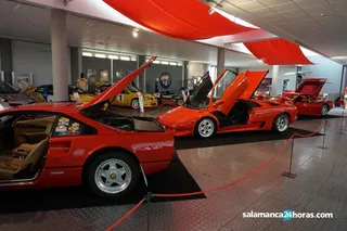 Exposición rojo mhas (5)