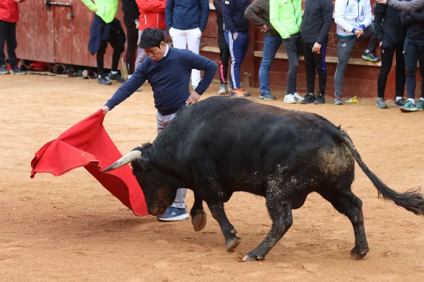 El matador de toros José Luis Gordillo actuando en la mañana de capea de lunes en el Carnaval del Toro 2026
