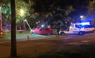 VÍDEO | Un conductor ebrio se empotra contra un árbol en la avenida de Villamayor