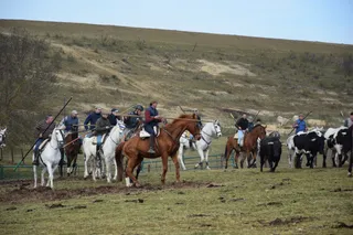 Labores de campo astados Villanueva encierro a caballo Ciudad Rodrigo 2023. Fotos S24H
