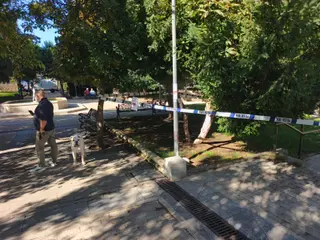  Dos niños sufren una intoxicación tras ingerir frutos y acordonan varios tejos en el parque Picasso
