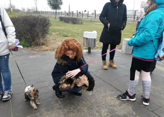 Bienestar Animal 1
