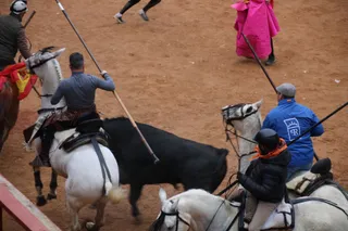 Encierro a caballo Ciudad Rodrigo 2026 | Verónica Tapia