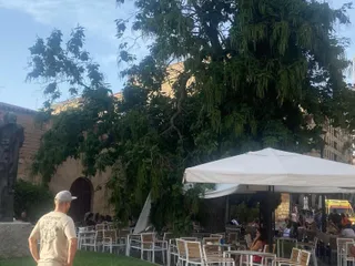Cae una rama en una terraza de la calle Bordadores. Fotos S24H