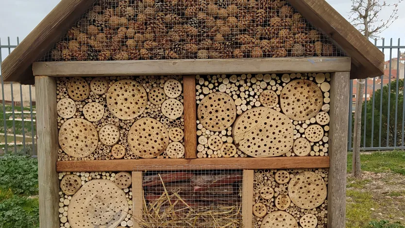 Hotel de insectos