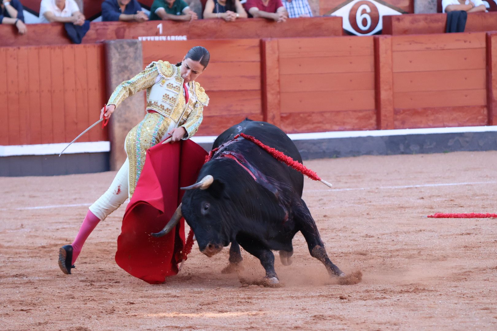 La Glorieta revive el aroma de la feria taurina con el primer festejo: Lea Vicens, Raquel Martín y Olga Casado