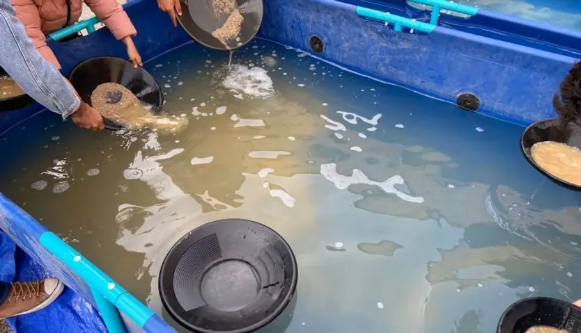 Bateo de oro