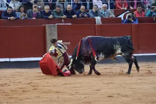 El Juli y Ateo de García Jiménez. Foto Andrea M.
