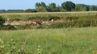 Dos fallecidos en un accidente de avioneta en Villanueva del Condado