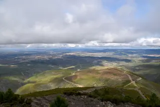 Zona labores de reforestación en la Sierra de Gata, Salamanca. ICAL