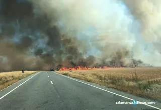Incendio Alba3