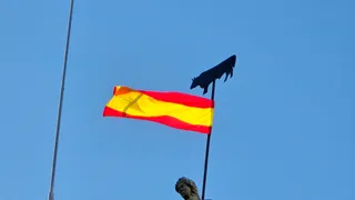 El alcalde de Salamanca, Carlos García Carbayo, y miembros de la Corporación Municipal asisten al tradicional acto de colocación de La Mariseca