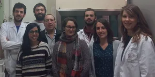 Demuestran el efecto protector de una nueva molécula para tratar el ictus