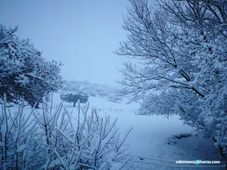 IMG 20180107 WA0055