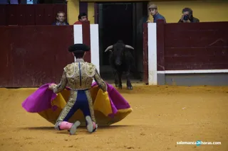 Novillada en alba de tormes (122)