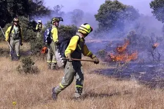 trabajos forestales y de prevención de incendios