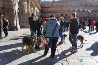 Concentración contra la caza con perros (6)