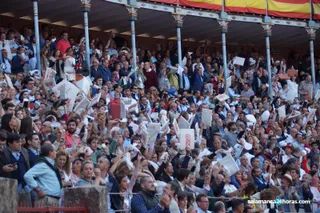 Ambiente (144)