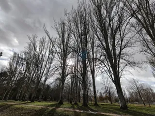 Parque, jardines y campos de fútbol de La Aldehuela