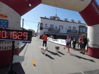 P1010267