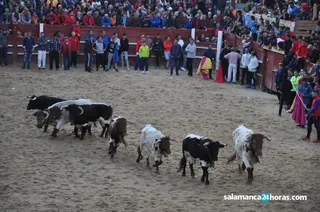 Capea vespertina Carnaval del Toro (74)