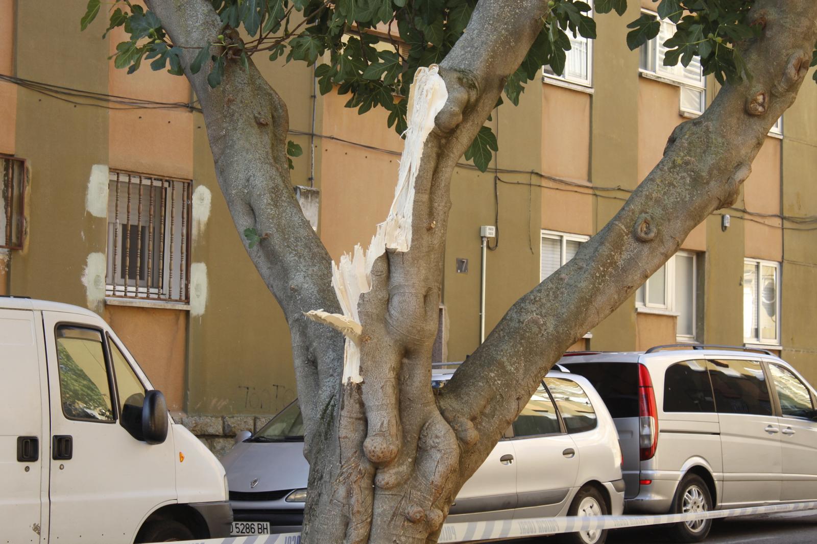 Lugar En El Que Un &Aacute;rbol Ha Ca&iacute;do Sobre Un Coche En San Jos&eacute;