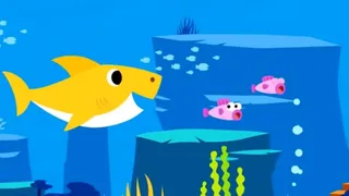 Baby shark