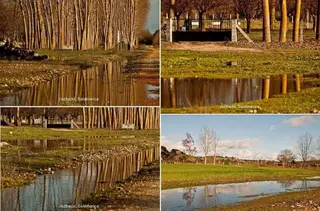 La crecida del Tormes provoca inundaciones en la ribera del Cañedo