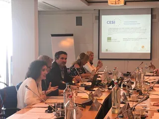 CESI BRUSELAS