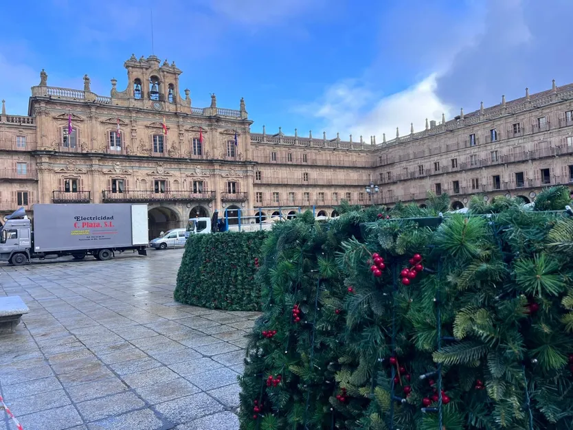 Montaje del árbol de 23 metros en la Plaza Mayor de Salamanca por Navidad