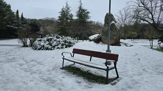 La nieve anega carreteras y tiñe de blanco Salamanca capital y provincia: imágenes de la nevada de este 28 de enero | Salamanca24horas