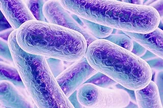Microbiota, microbioma intestinal