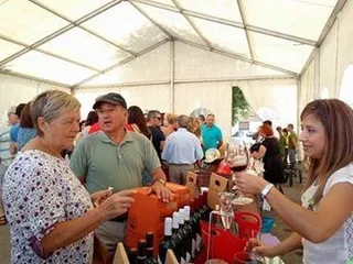 Bogajo disfruta de su Feria de las Tradiciones