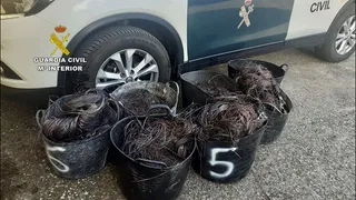 Material intervenido en el marco de la “Operación Mangucha”