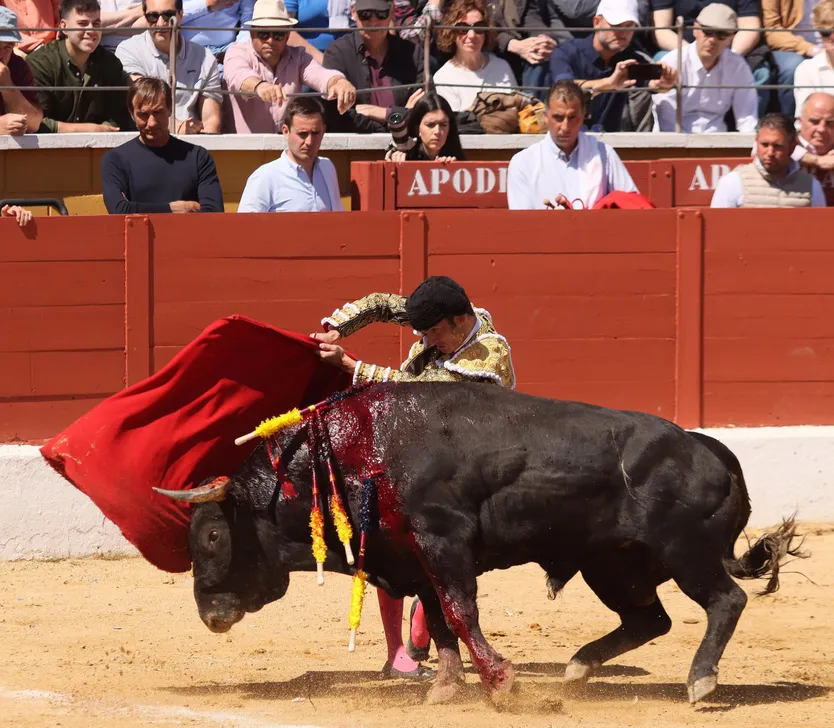 Damián Castaño durante su encerrona en San Agustín de Guadalix con Dolores Aguirre
