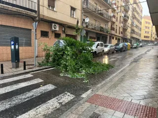 Un árbol caído en la calle Juan de Juni a consecuencia de la tormenta. Foto S24H
