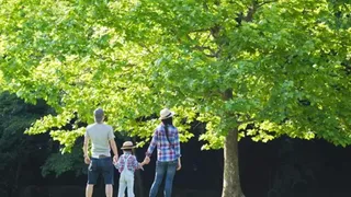 Archivo - Familia disfrutando de la naturaleza. - HAKASE_/ISTOCK