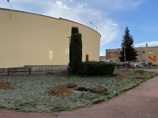 Árboles plaza de toros de Guijuelo