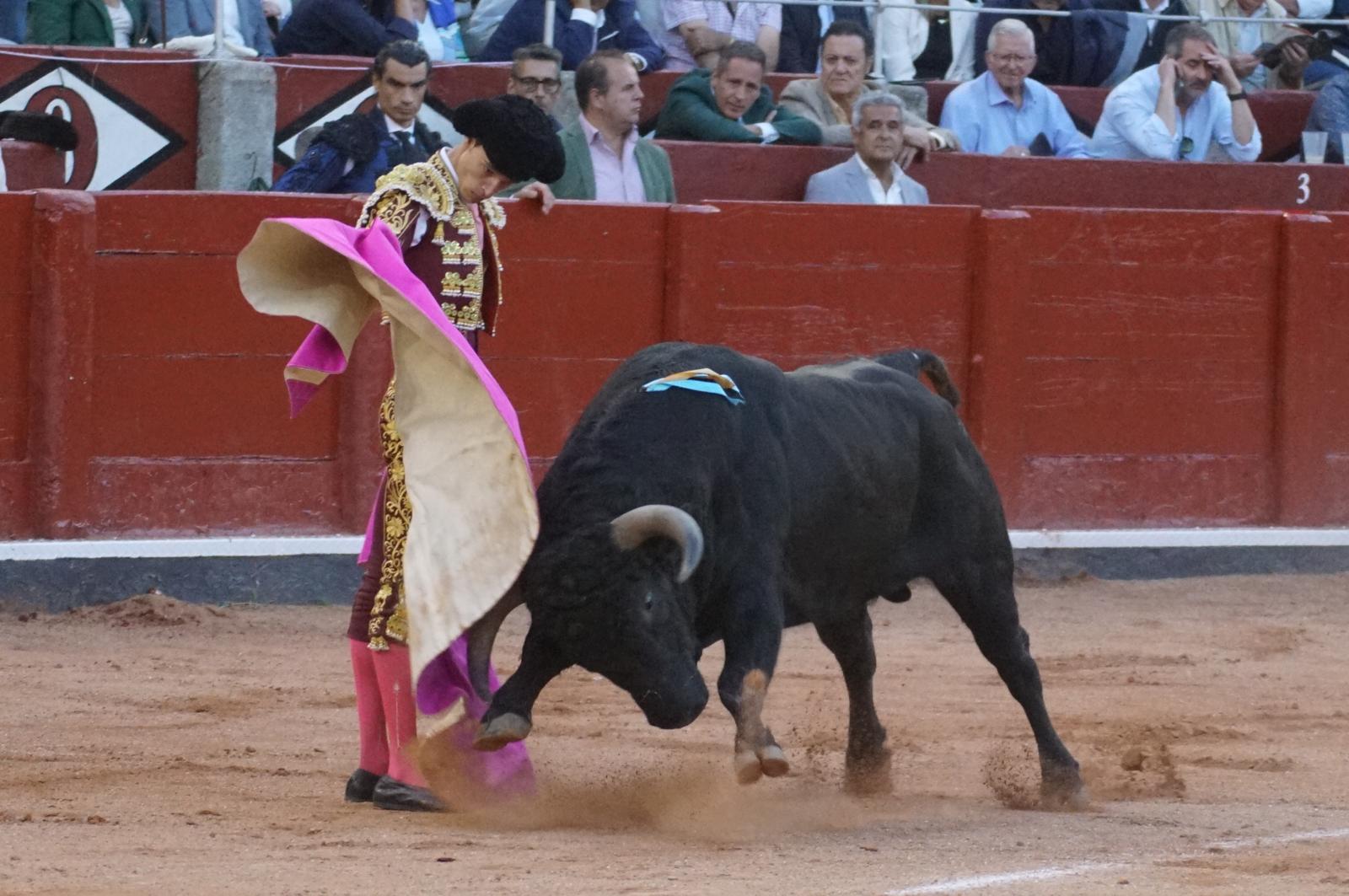 Diego Mateos ante 'Comil&oacute;n', el sexto novillo de Adelaida | Juanes