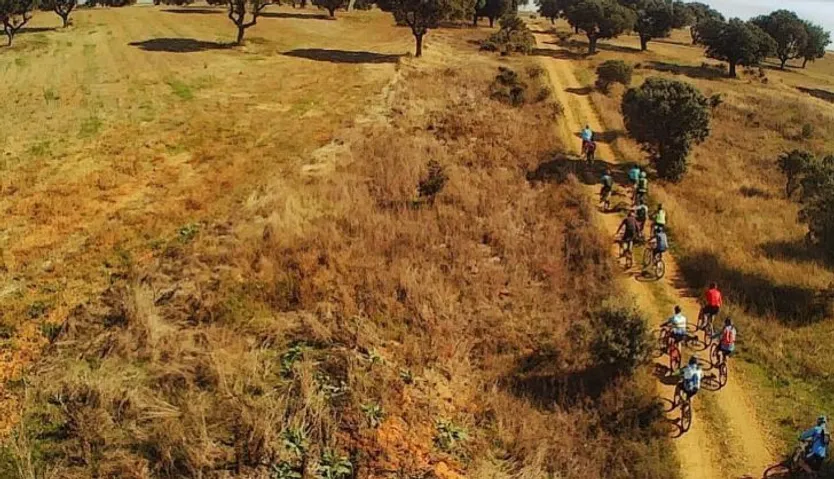 Cañada Real Burgalesa. Foto RRJ