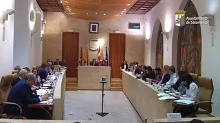 Pleno marzo