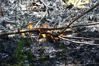 Incendio en Valverdón | MATEO J